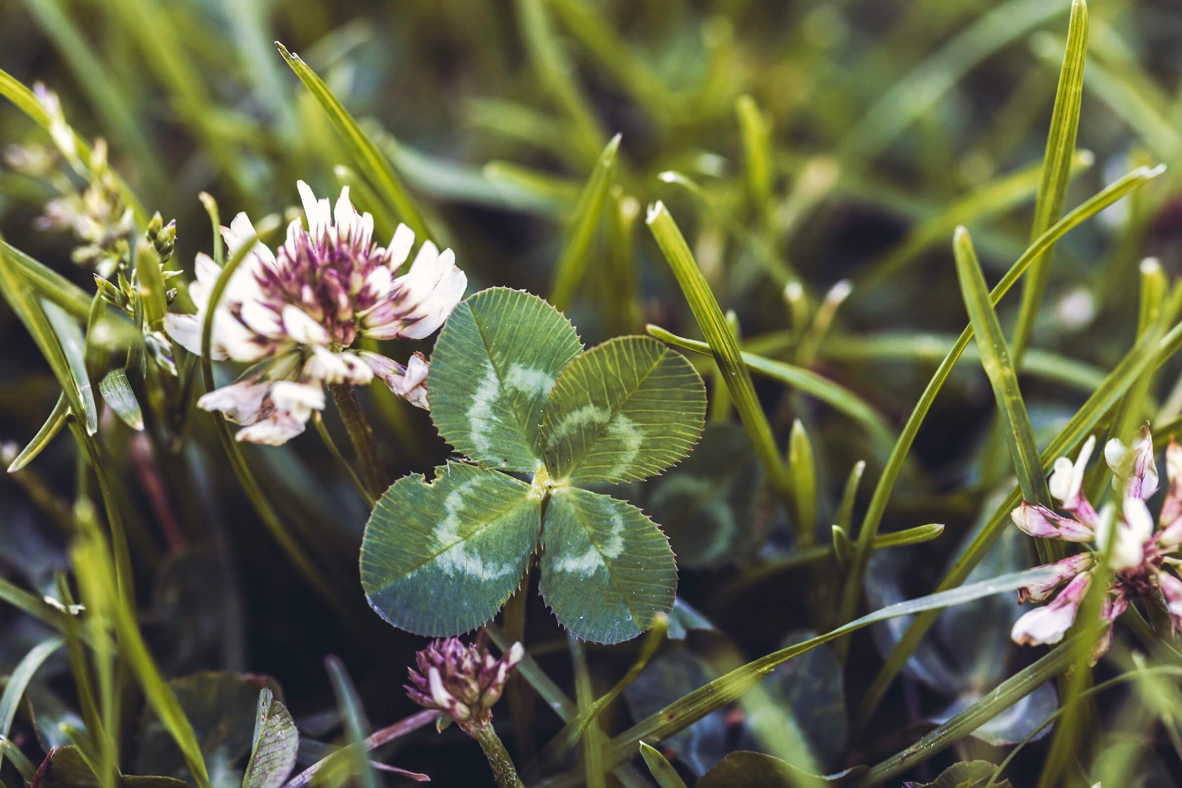 Manufacturers: When Your Luck Runs Out, What’s Your Contingency Plan?
